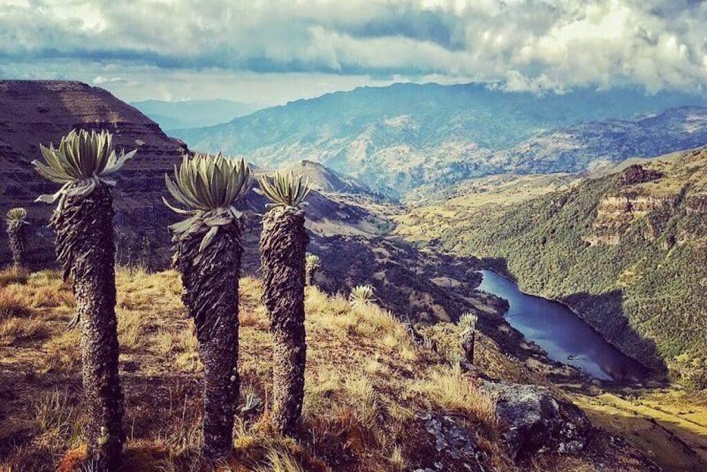 Cuidado del agua paramos colombia